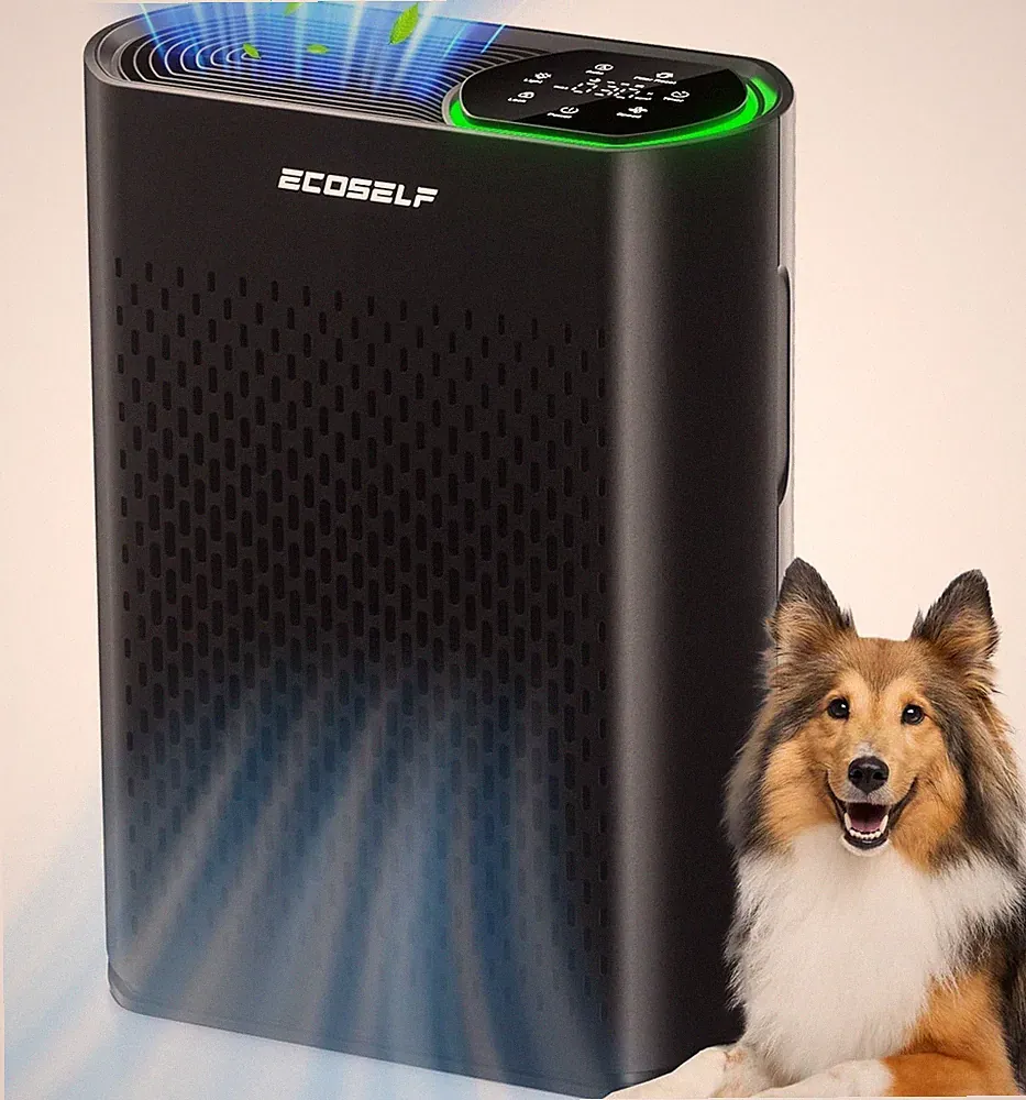 Air Purifier for Large Room Home, Cleans 2,400 ft² in 30 Mins, 3-Stage, HAP602